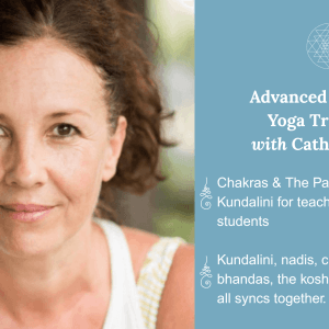 The chakras and Pathways of Kundalini