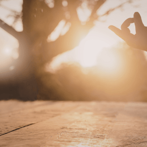 A talk on counscious prayer & the innate wisdom of the body