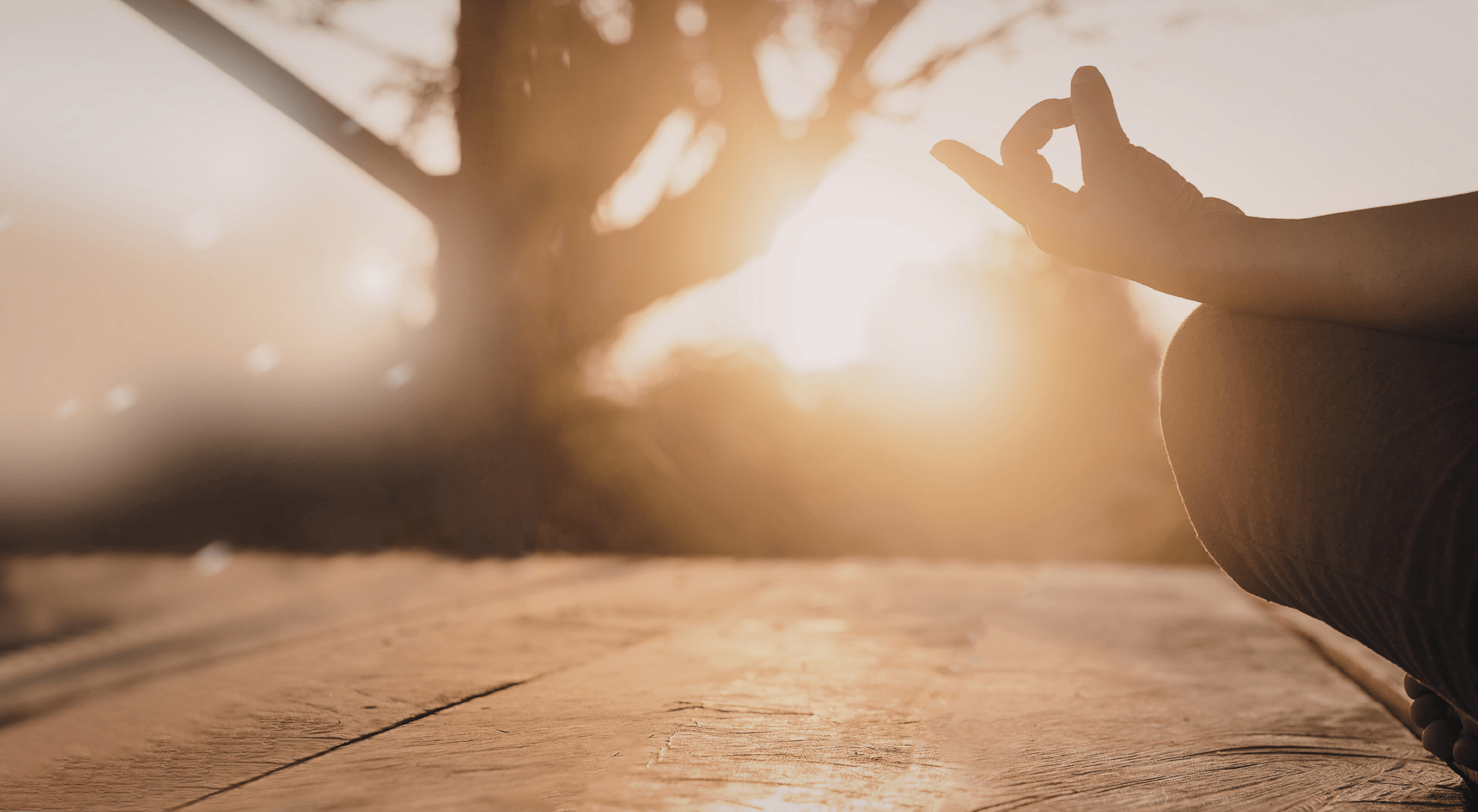 A talk on counscious prayer & the innate wisdom of the body
