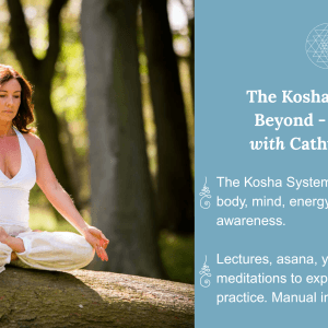 The Kosha System & Beyond